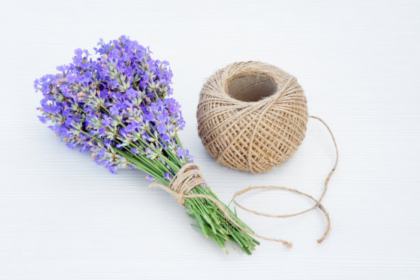 白色的木质背景上有一束薰衣草和麻球。图片下载