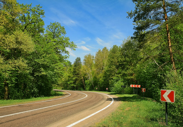 蜿蜒的小路穿过树林，夏日的户外背景图片下载