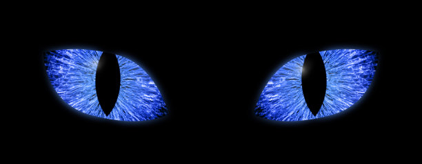 明亮的蓝色眼睛，瞳孔垂直图片下载