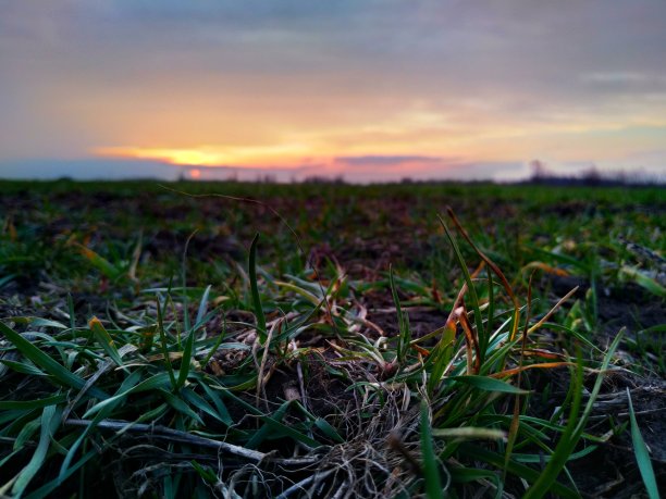 当太阳入睡图片下载