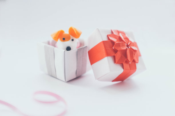 可爱的塑料粘土杰克罗素梗狗在折纸礼盒图片下载