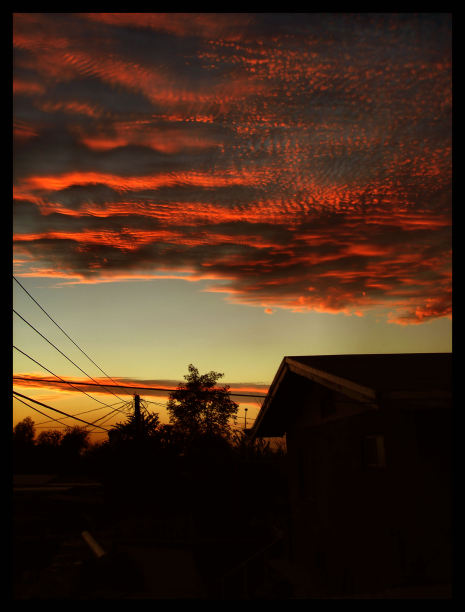 红色的日出画图片下载