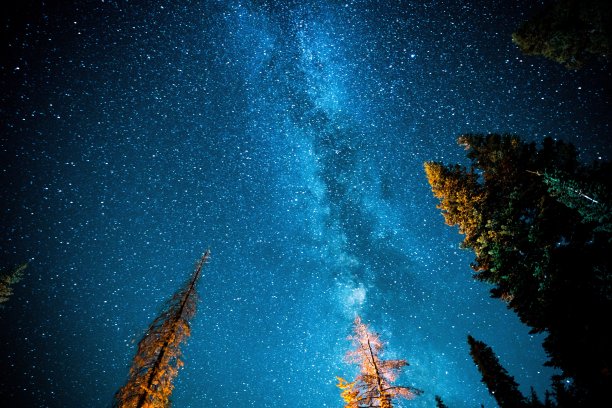 红杉国家公园的银河图片下载