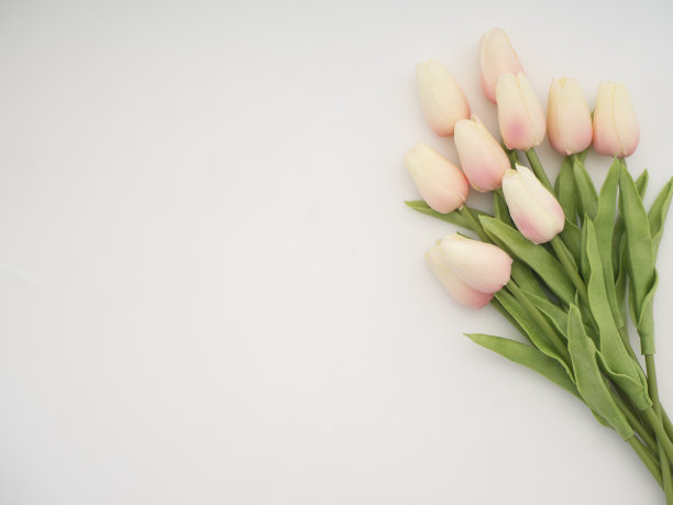 美丽的郁金香花束春天或夏天和复活节图片下载