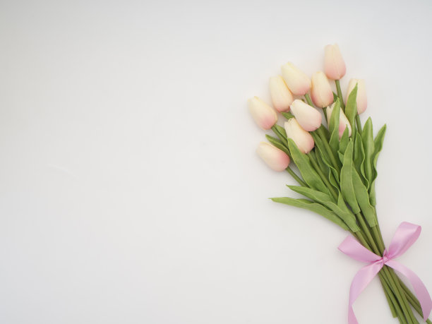 美丽的郁金香花束春天或夏天和复活节图片下载