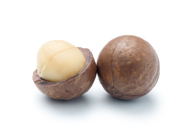 澳洲坚果的特写图片下载