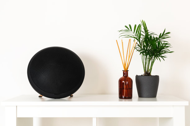 斯堪的纳维亚北欧hygge风格，家居内饰-常绿植物，便携式扬声器，香味芳香扩散器，白色架子图片下载