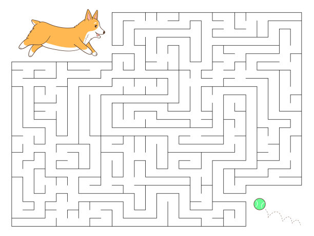 帮助狗找到正确的方法去球。图片下载