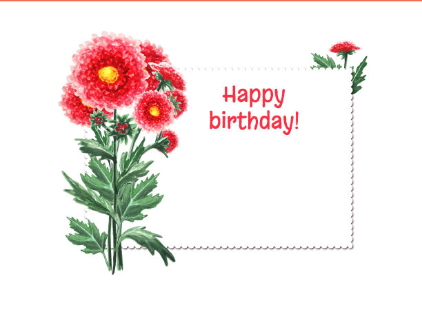 白底菊花。生日快乐。图片下载