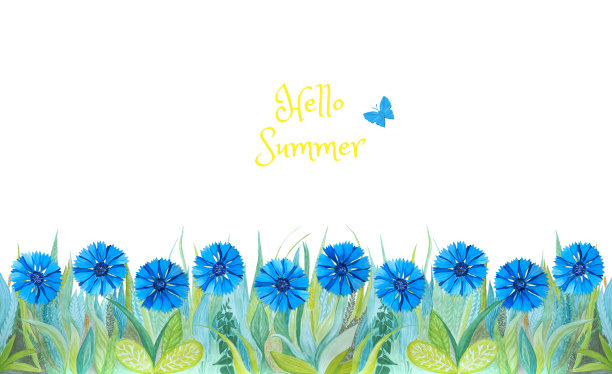 蓝色和绿色的草和明亮的矢车菊。图片下载