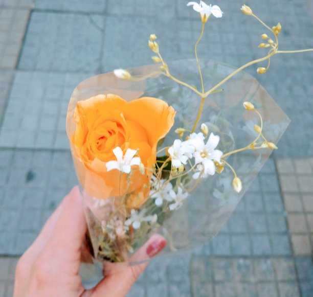 手里拿着橙玫瑰的女人图片下载