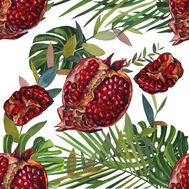 无缝石榴画与图形，图案背景。墙纸或织物设计。图片下载