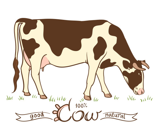 草地上有斑点的牛，吃草。白色背景上的剪影图片下载
