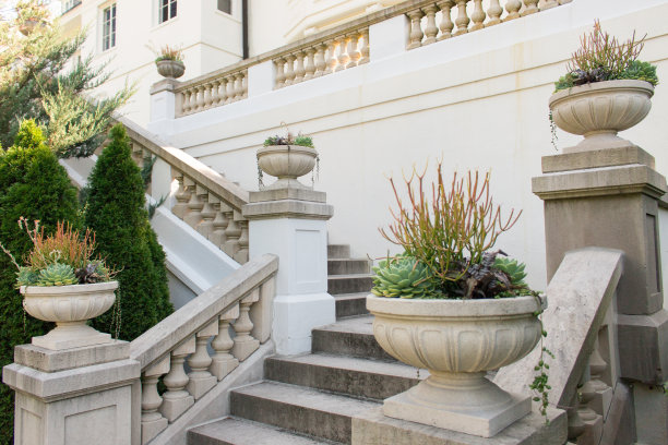 植物、建筑细节图片下载