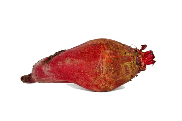 甜菜根图片下载