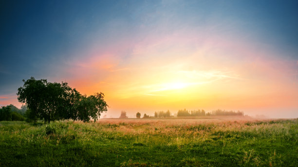 日落景观与树木图片下载