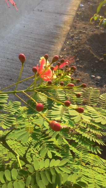 永远爱你的图片下载