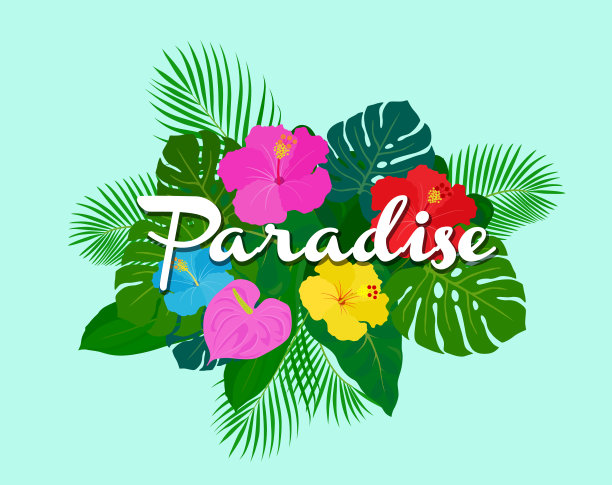 夏季热带形象装饰材料图片下载