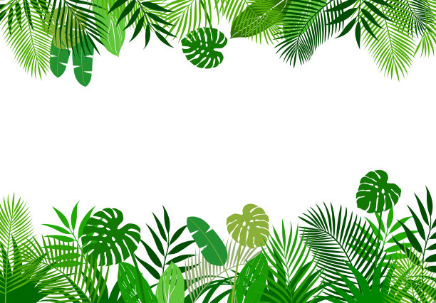 热带植物的背景框架图片下载