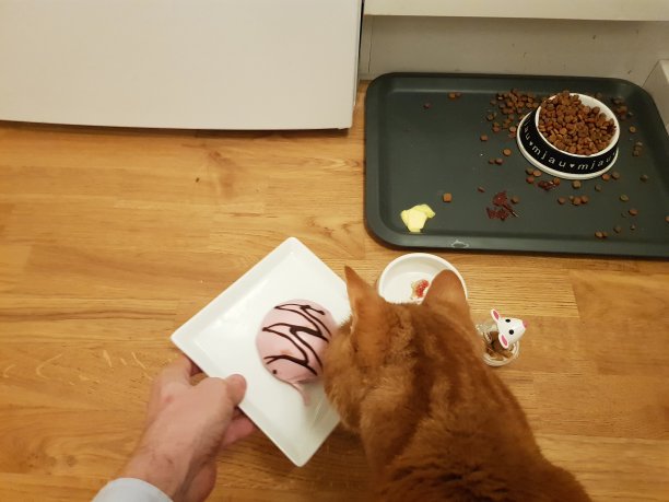 猫蛋糕食品图片下载