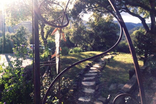 正式的花园和台阶与S弧形大门图片下载