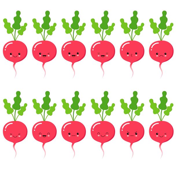 萝卜。可爱的卡通蔬菜矢量人物集孤立的白色图片下载