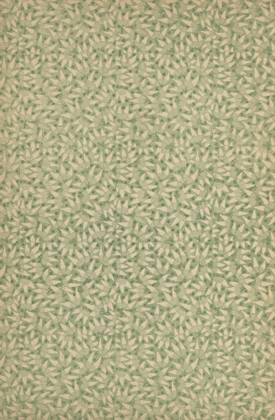 古董纸与叶图案- 19世纪图片下载