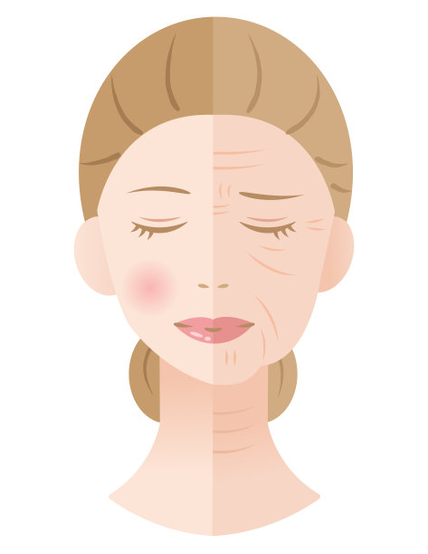 年轻和年老的女人脸上皱纹皮肤。护肤前后概念图片下载