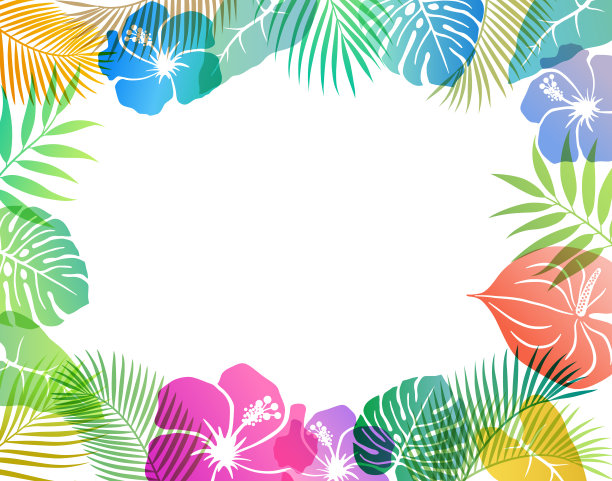 夏季热带图像背景材料图片下载