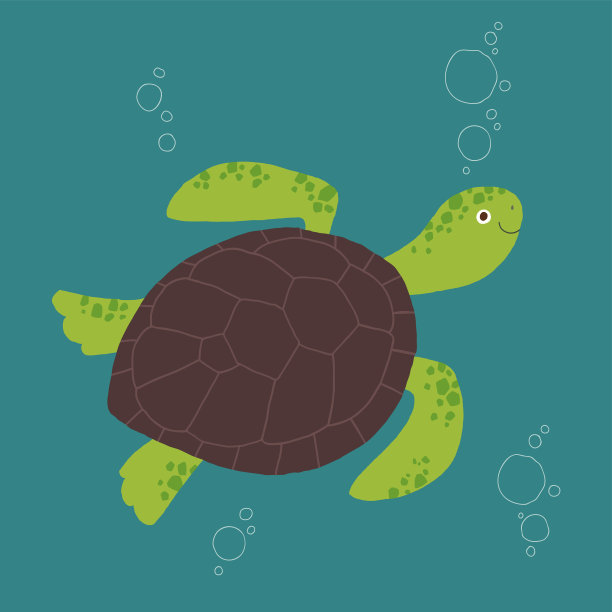 海龟矢量图。海龟卡通手绘eps 10剪贴艺术孤立在白色背景在一个扁平的风格。图片下载