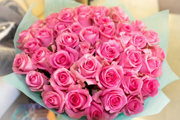 美丽的花朵图片下载