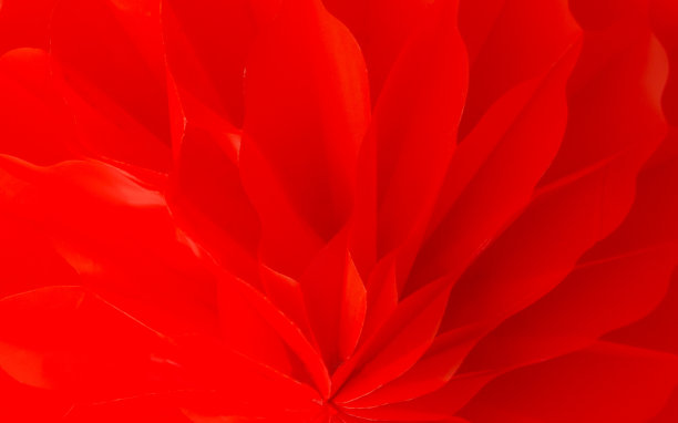 近距离抽象图像美丽的红色花瓣排列在层背景。图片下载