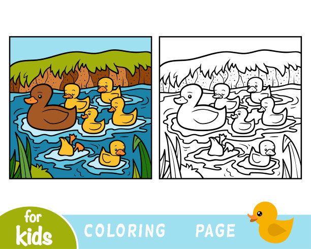 涂色书，七只鸭子图片下载