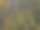 一个绿色沼泽的鸟瞰图图片下载