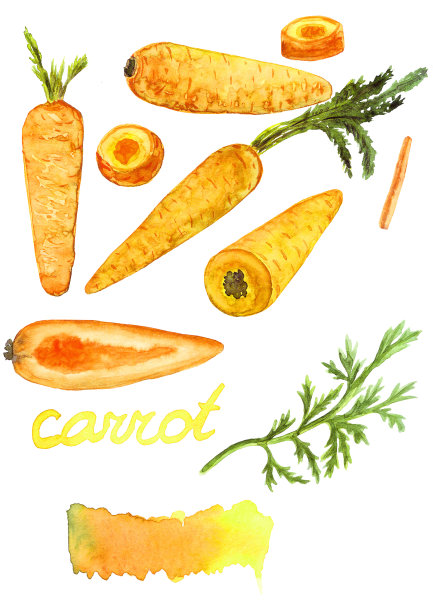 蔬菜。图片下载