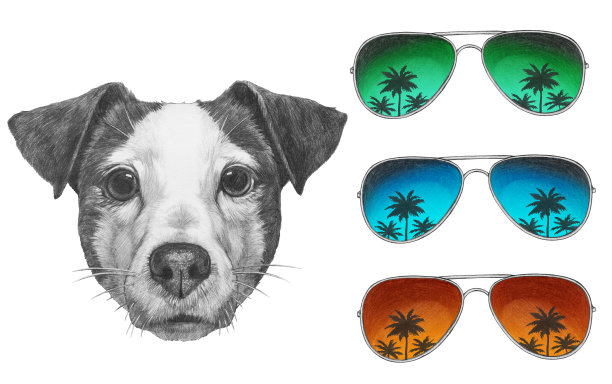 杰克·罗素戴墨镜的肖像。手绘插图。图片下载