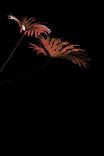 幻想怪物叶色调在活珊瑚颜色图片下载