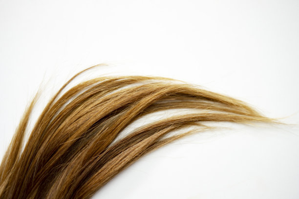 长长的棕色直发在白色孤立的背景上图片下载