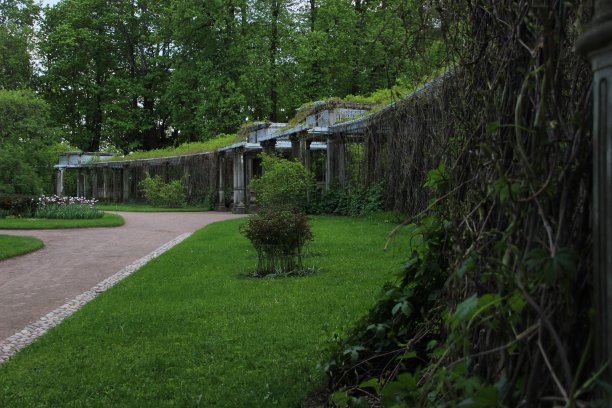 失去的花园。图片下载