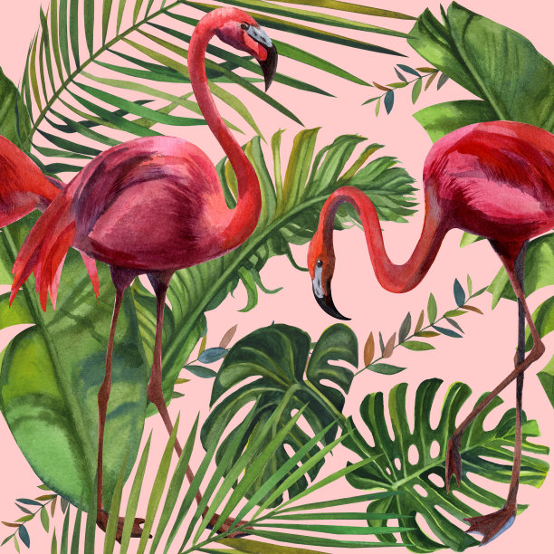 水彩热带野生动物，火烈鸟，图案无缝。手绘丛林自然，花卉插画。印刷纺织品，布料，墙纸，剪贴簿图片下载