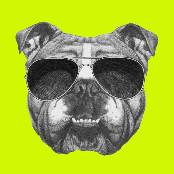 英国斗牛犬的肖像与眼镜。手绘插图。图片下载