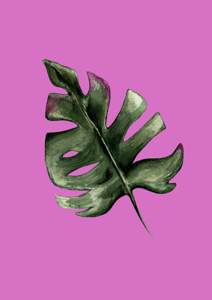 手绘水彩热带夏季图片下载