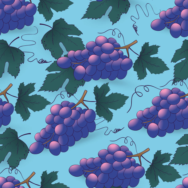 无缝葡萄图案上的蓝色素材图片