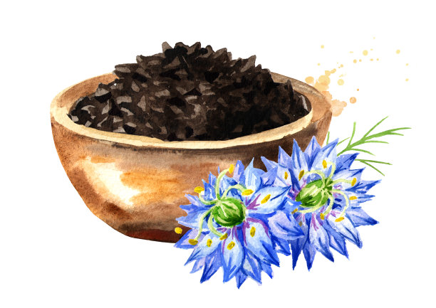 黑胡椒或茴香花，罗马香菜，黑孜然，黑籽，黑葛缕子，碗里的蒲公英。水彩手绘插图孤立的白色背景图片下载