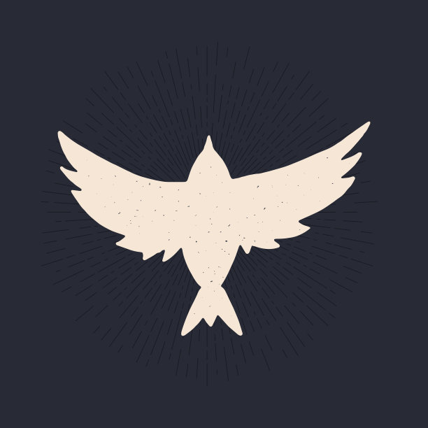 会飞的鸟，俯视图，剪影素材图片