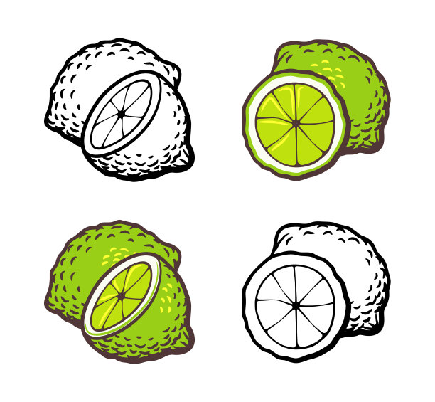 石灰。程式化的矢量图图片下载