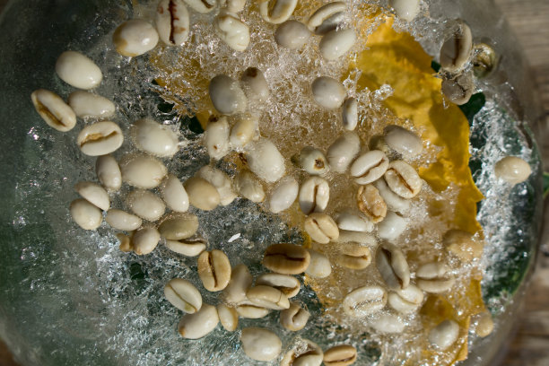 背景绿咖啡豆冷冻在冰图片下载