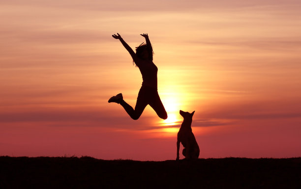 女孩和狗在日落的背景图片下载
