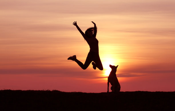 女孩和狗在日落的背景图片下载