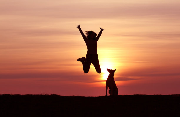 女孩和狗在日落的背景图片下载
